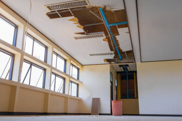 Best Professional water damage repair  in Delray Beach, FL