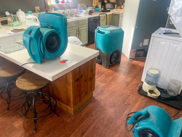 Best Mold removal after water damage  in Delray Beach, FL