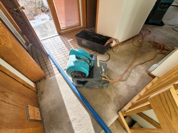Best Carpet water damage restoration  in Delray Beach, FL