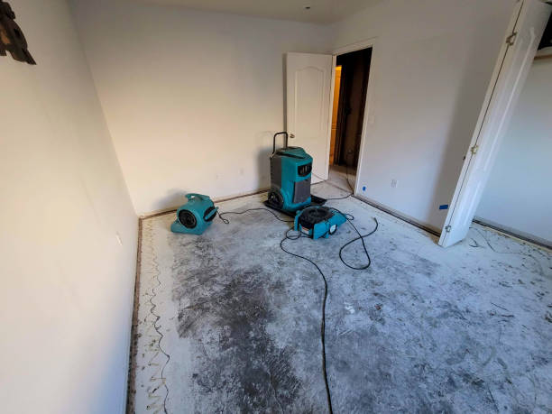 Best Water damage cleanup near me  in Delray Beach, FL