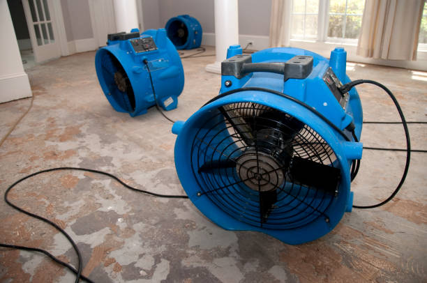 Best Fire Damage Restoration  in Delray Beach, FL