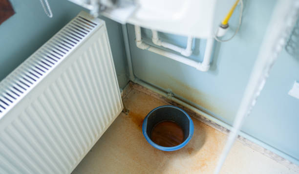 Best Flooded house restoration  in Delray Beach, FL