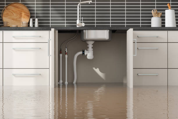 Best Emergency water damage restoration  in Delray Beach, FL