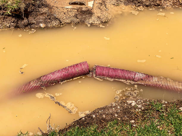 Best 24/7 water damage repair  in Delray Beach, FL