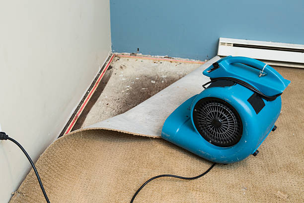 Best Ceiling water damage repair  in Delray Beach, FL